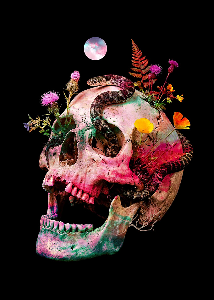 Floral Resurrection
