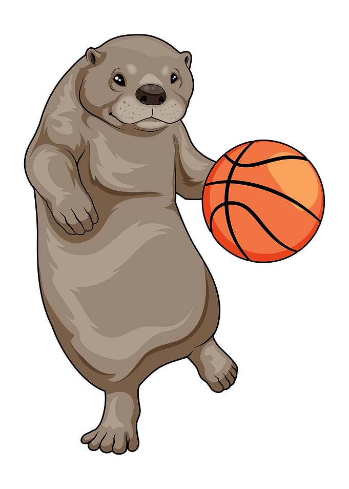 Otter Basketball player Basketball