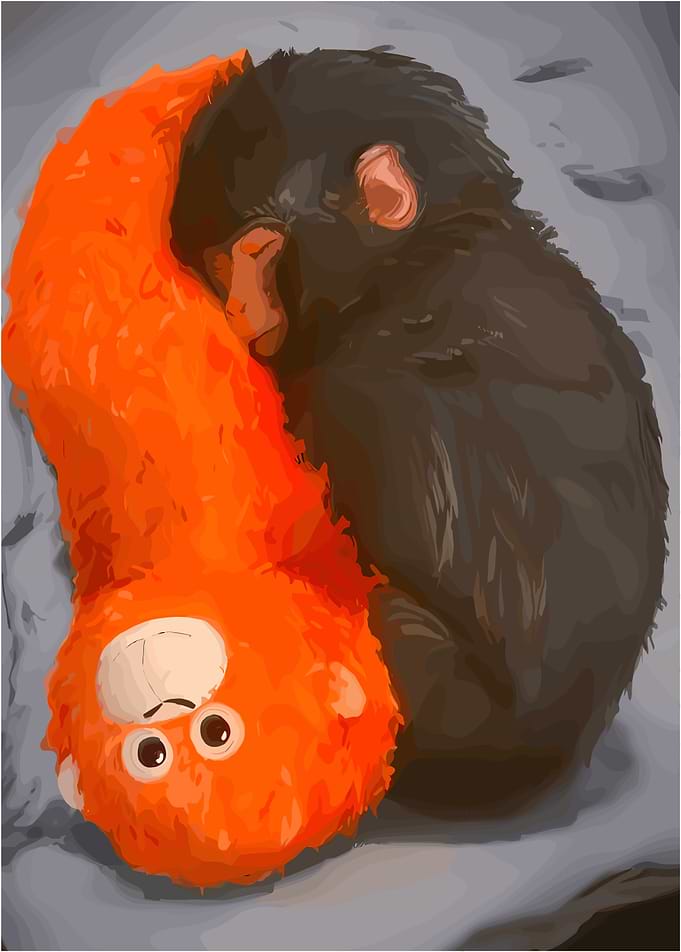Two monkeys cuddling