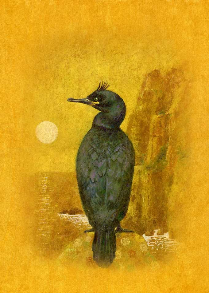 Shag On Gold