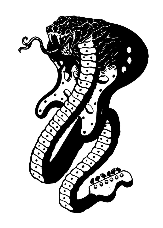 Cobra Guitar Fusion