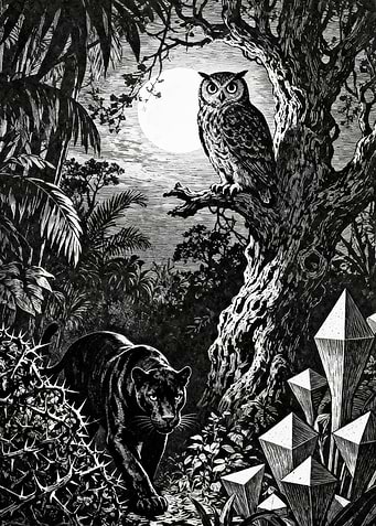 Black Panther and Owl in Moonlit Jungle