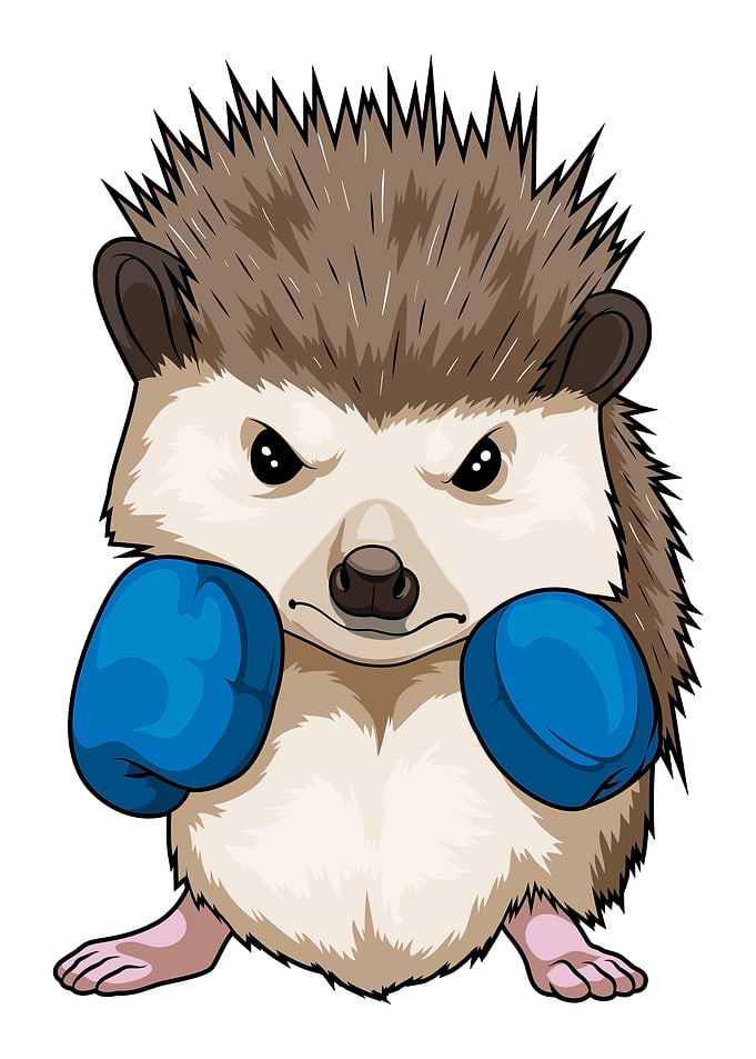 Hedgehog Boxer Boxing gloves