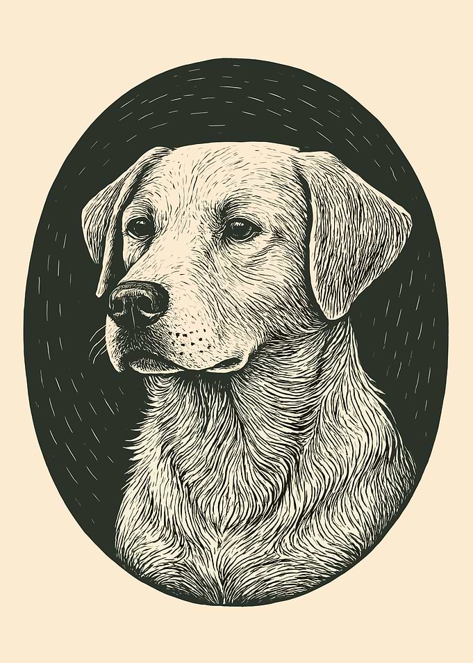 Vintage Dog Portrait