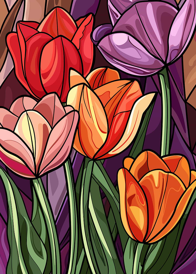 Colorful Tulips in Bloom
