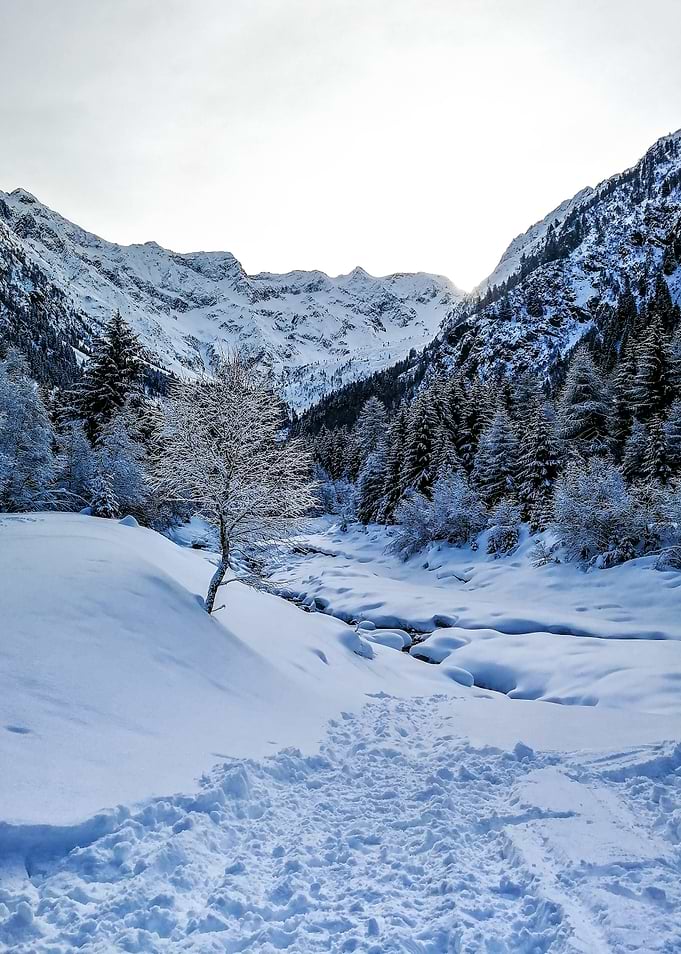 Winter Sunrise over Snowy Valley with Conifer Forest, Mountain Peaks and Stream, Alpine Landscape