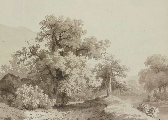 Serene Woodland River Scene