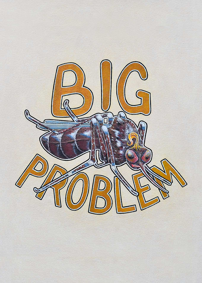 Big Problem Mosquito Illustration