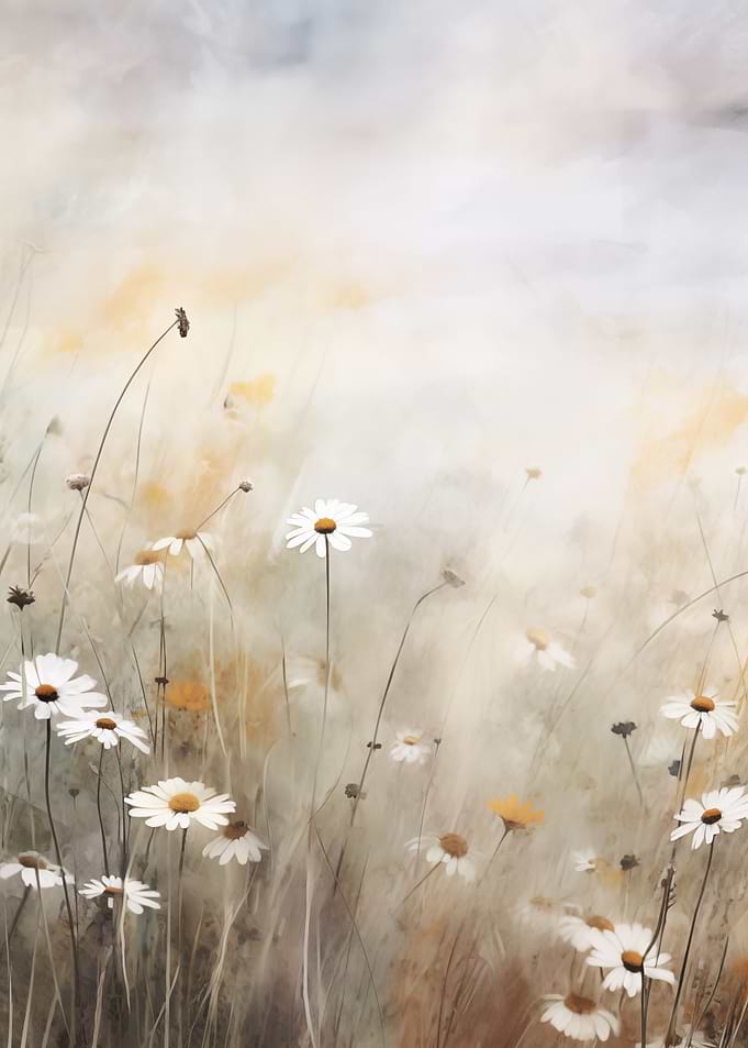 Soft daisies in a meadow