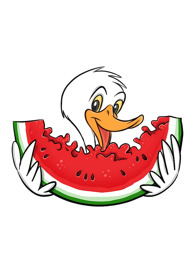 Cartoon Duck Eating Watermelon