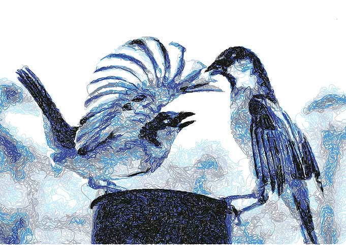 Two Birds in Blue and Gray Scribble Art