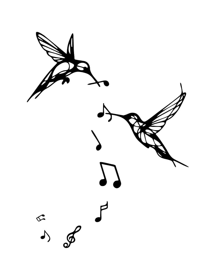 Hummingbirds and Musical Notes