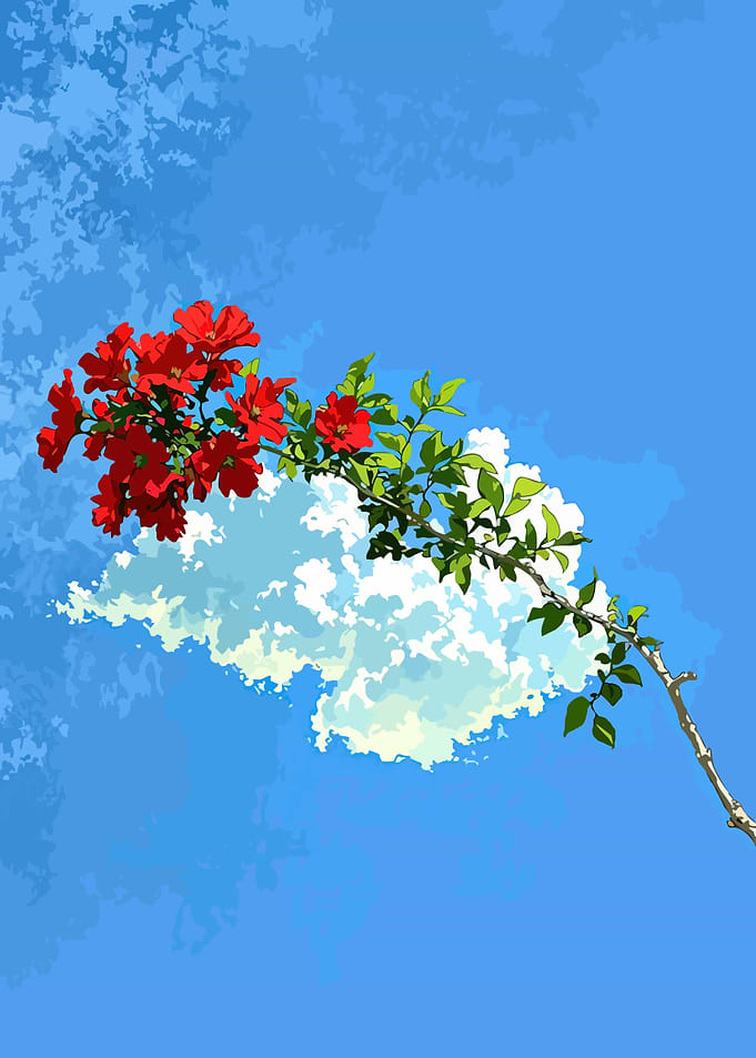 Red Flowers Against Blue Sky and Clouds