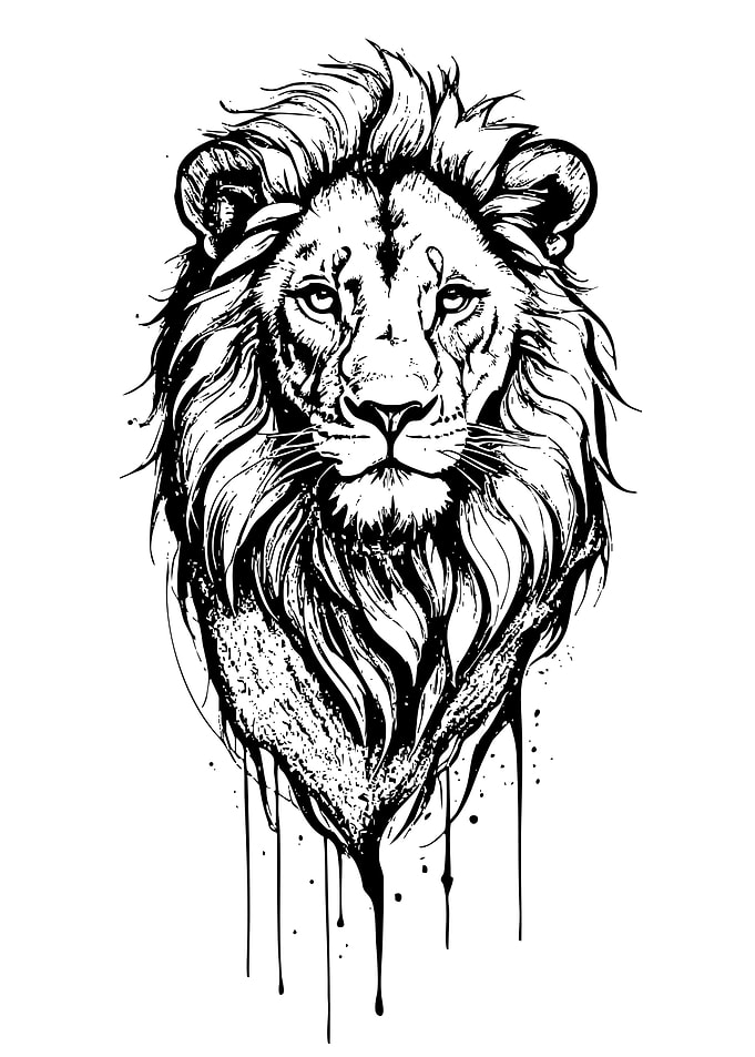 Black and White Lion Head Illustration