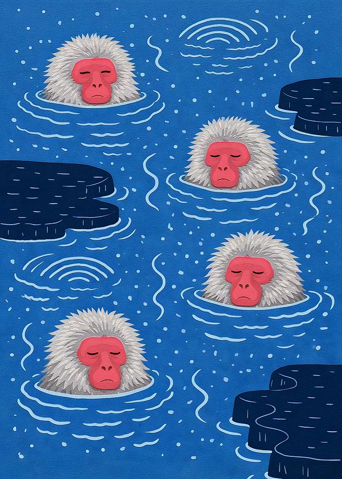 Snow Monkeys Relaxing in Hot Springs