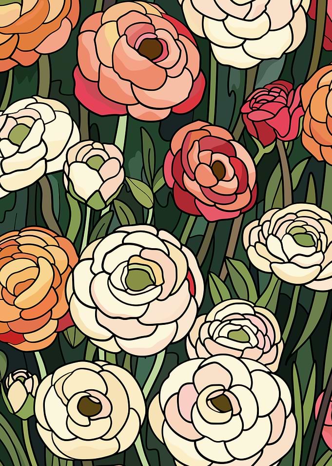 Colorful Ranunculus Flower Pattern