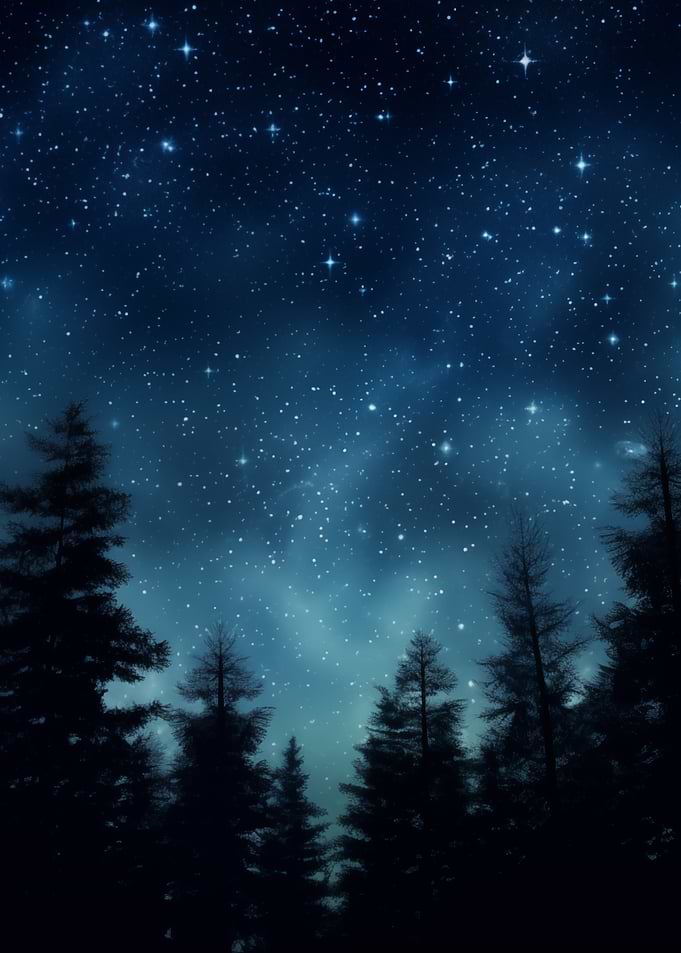 Starry Night Dark Forest