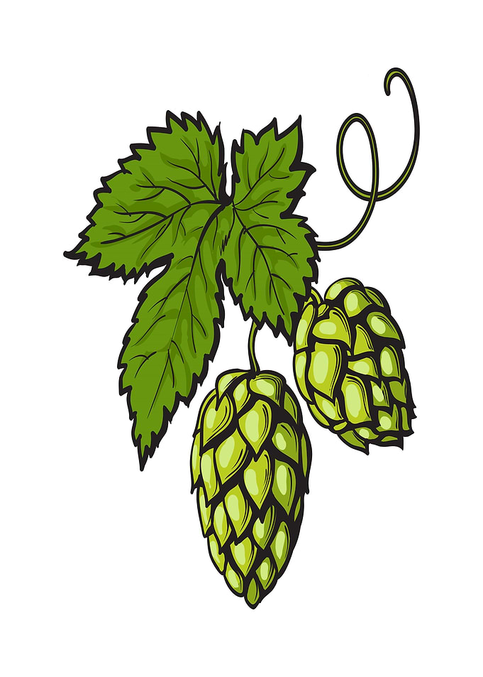 Green Hops
