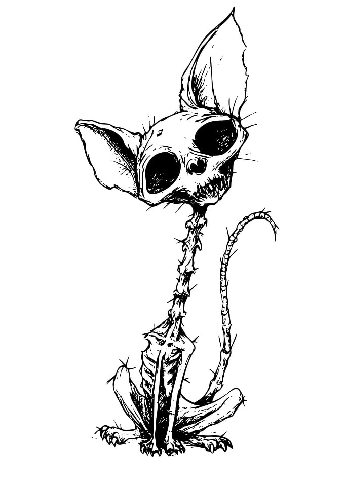 Spooky Skeleton Cat Illustration