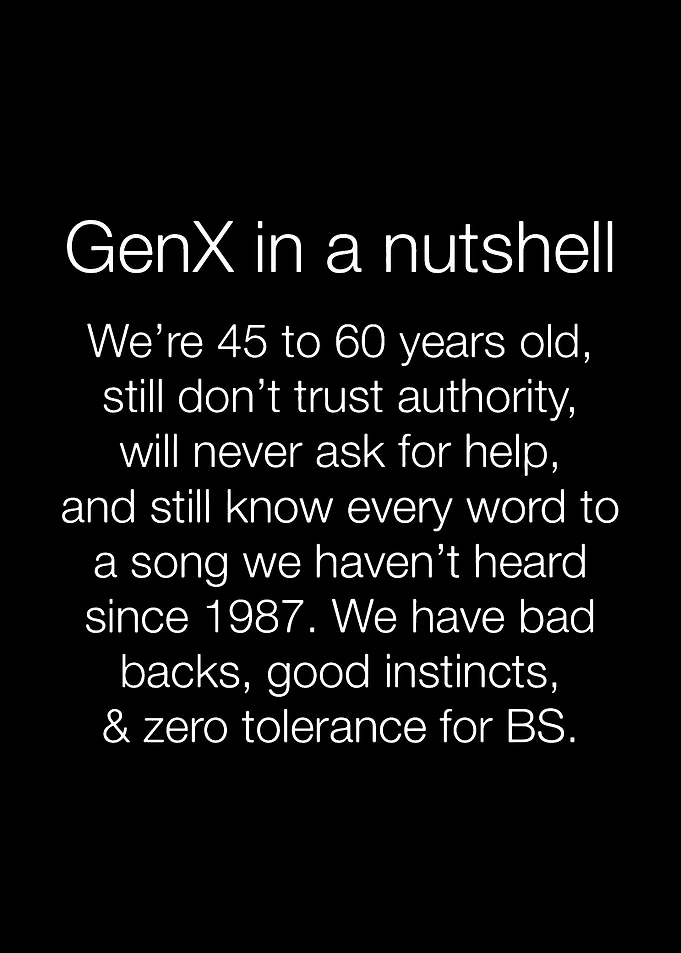 Gen X in a nutshell text art