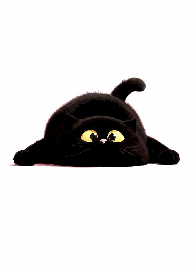 Cute Black Cat Lying Down