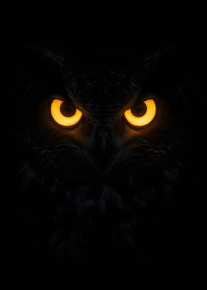 Glowing Owl Eyes in Darkness