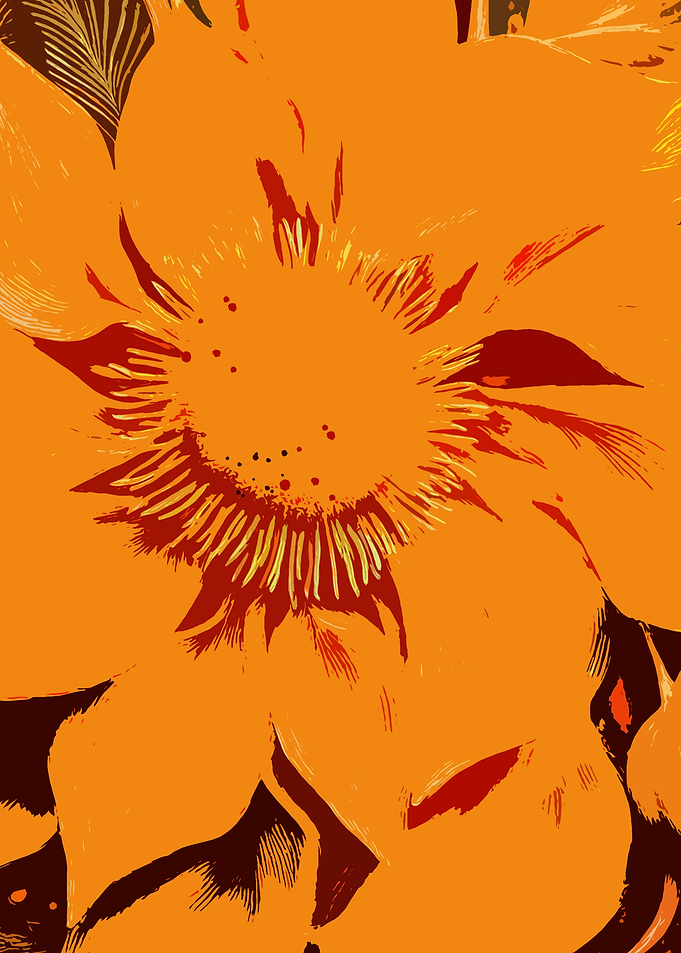 Vibrant Orange Flower Close-up
