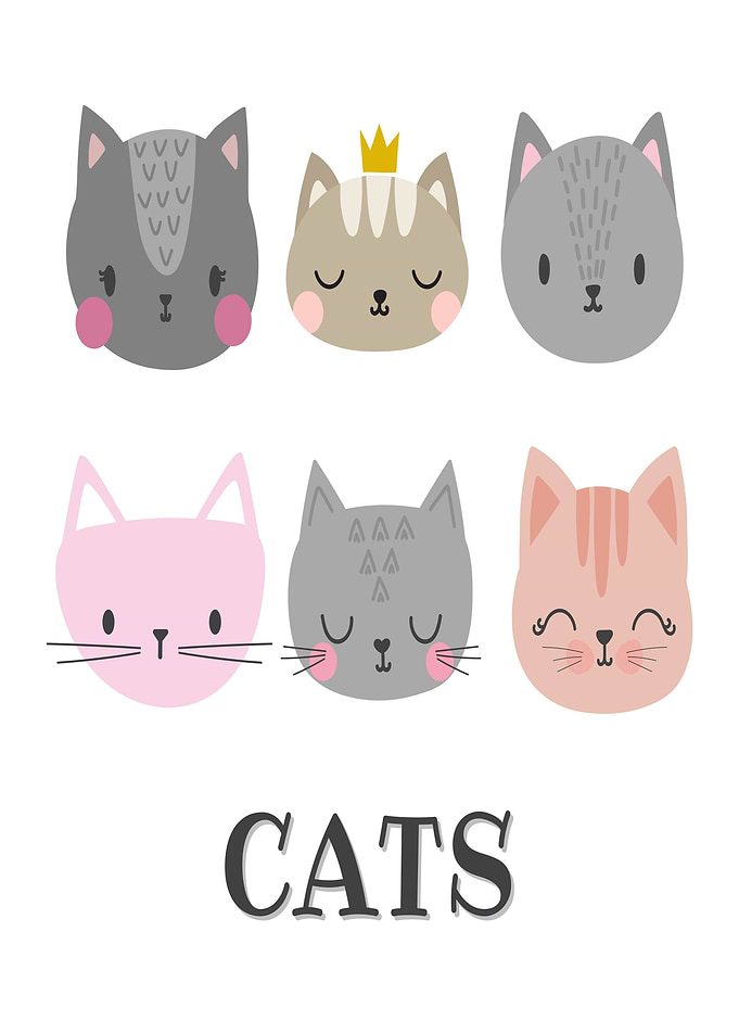 Cute Cat Faces