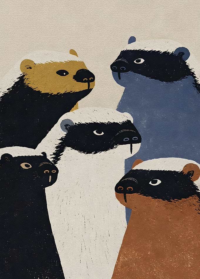 Group of Honey Badgers