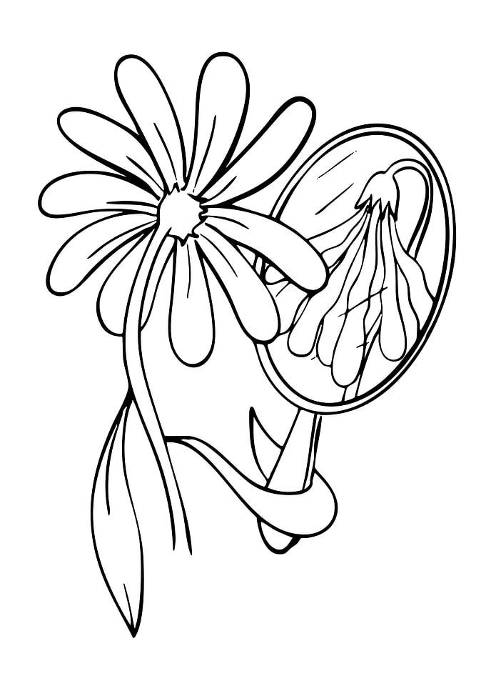 Flower Reflected in a Mirror