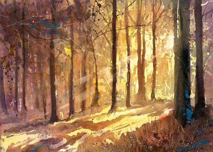 Sunlight through Forest Trees