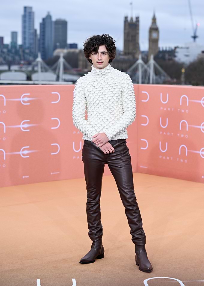 Timothée Chalamet at Dune Part Two Premiere