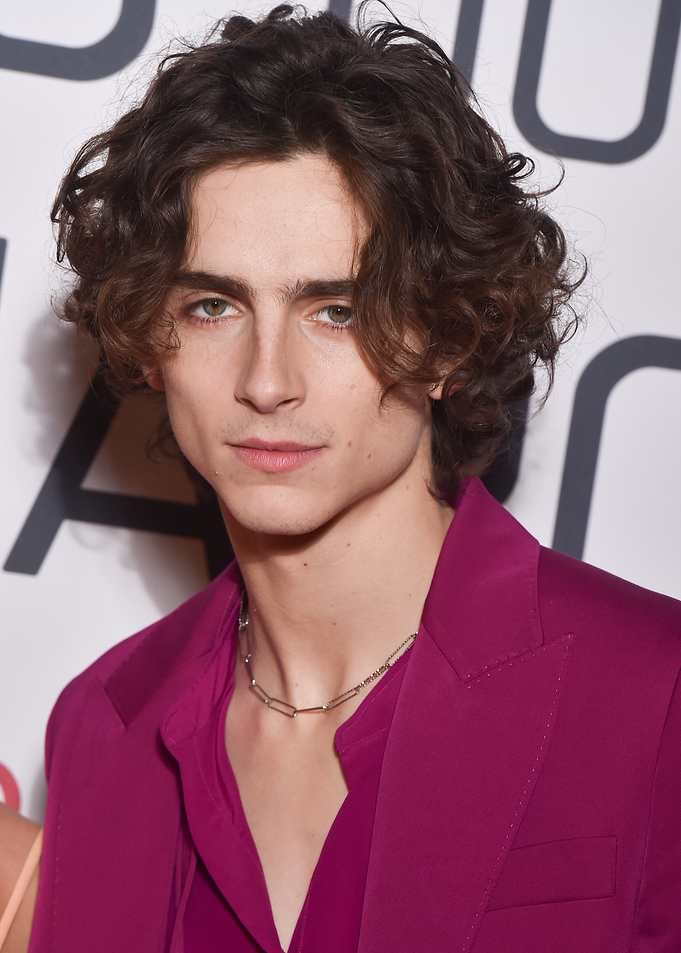 Timothée Chalamet in a Pink Suit