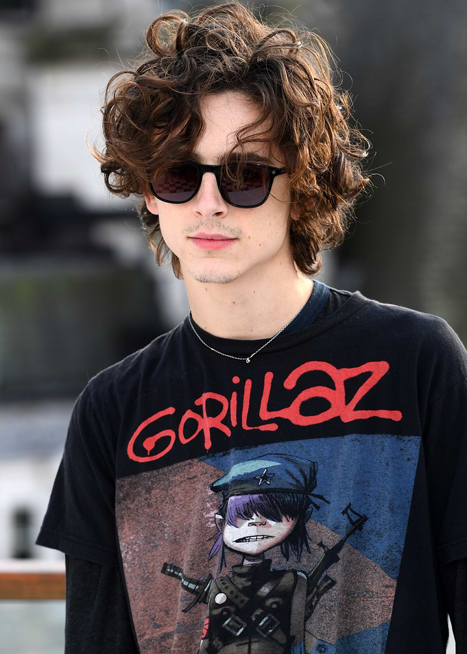 Timothée Chalamet wearing Gorillaz t-shirt