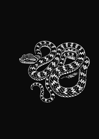 Black and White Snake Illustration