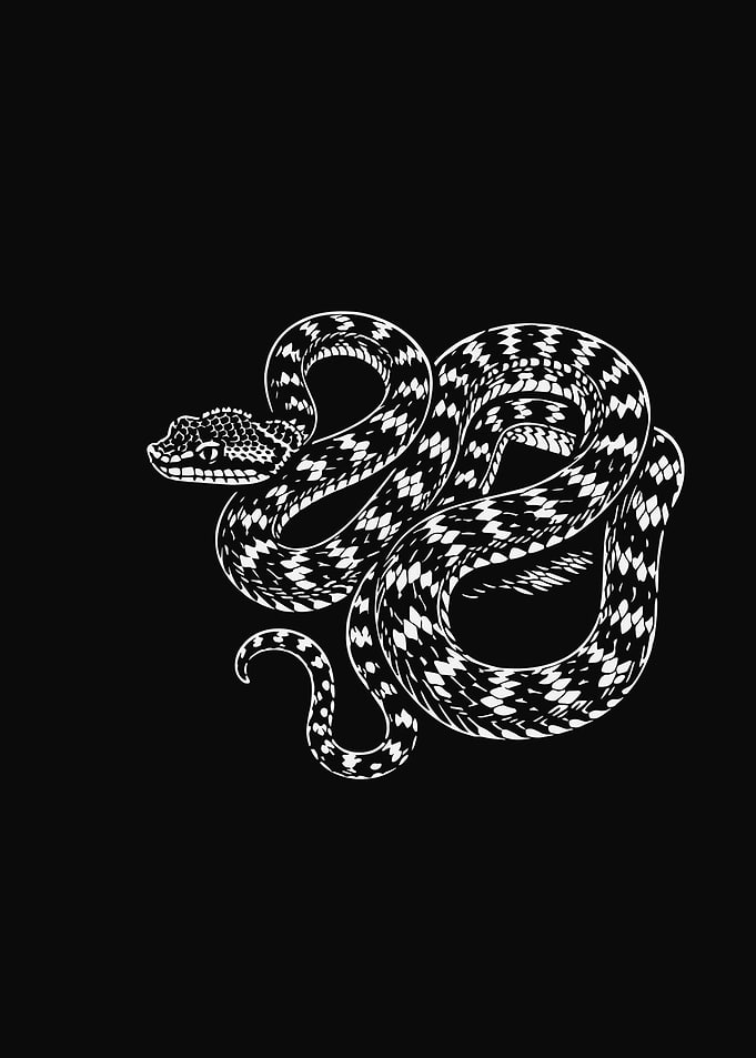 Black and White Snake Illustration