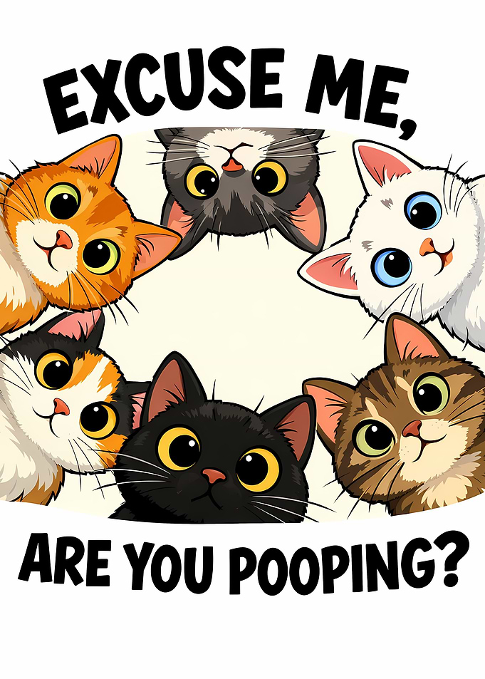 Cats Asking 'Are You Pooping?'