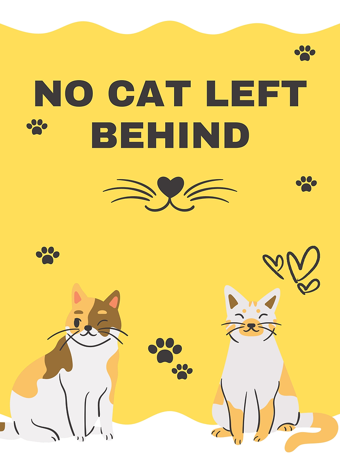 No Cat Left Behind