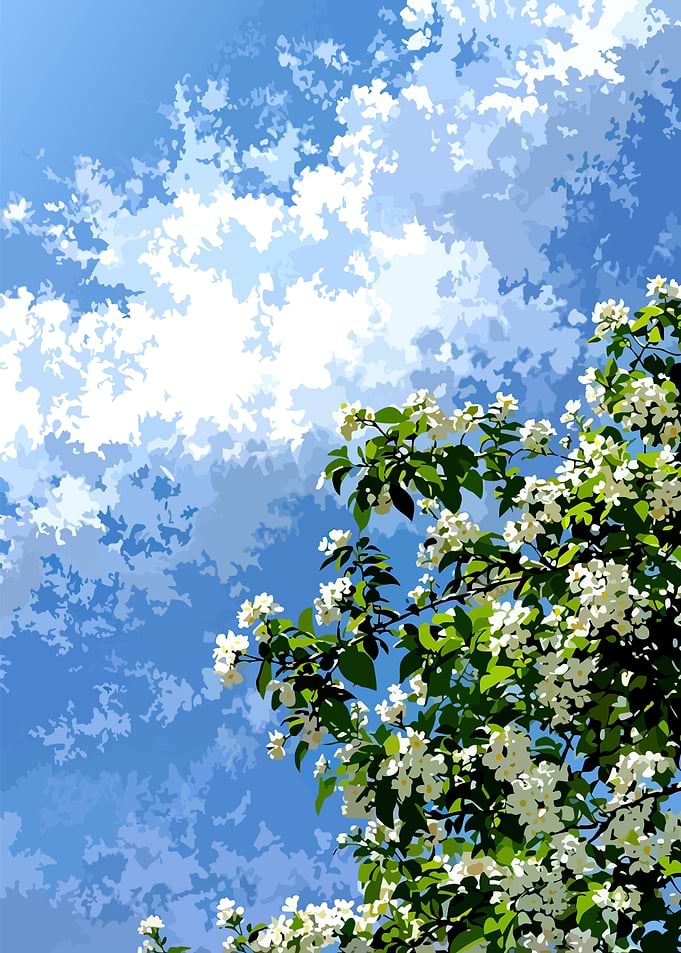Blooming Tree Against a Cloudy Sky
