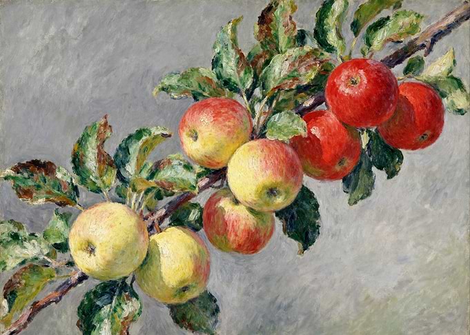 Apples on a Branch