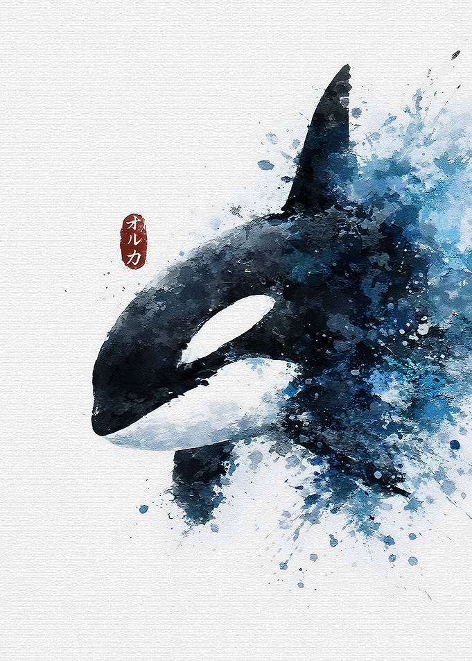 Watercolor Orca Splashing Water