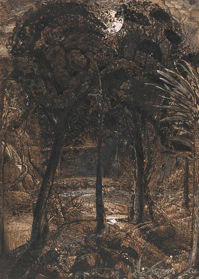 Moonlit Forest Scene