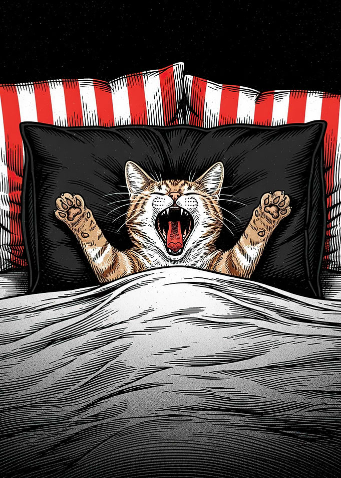 Cat Yawning in Bed