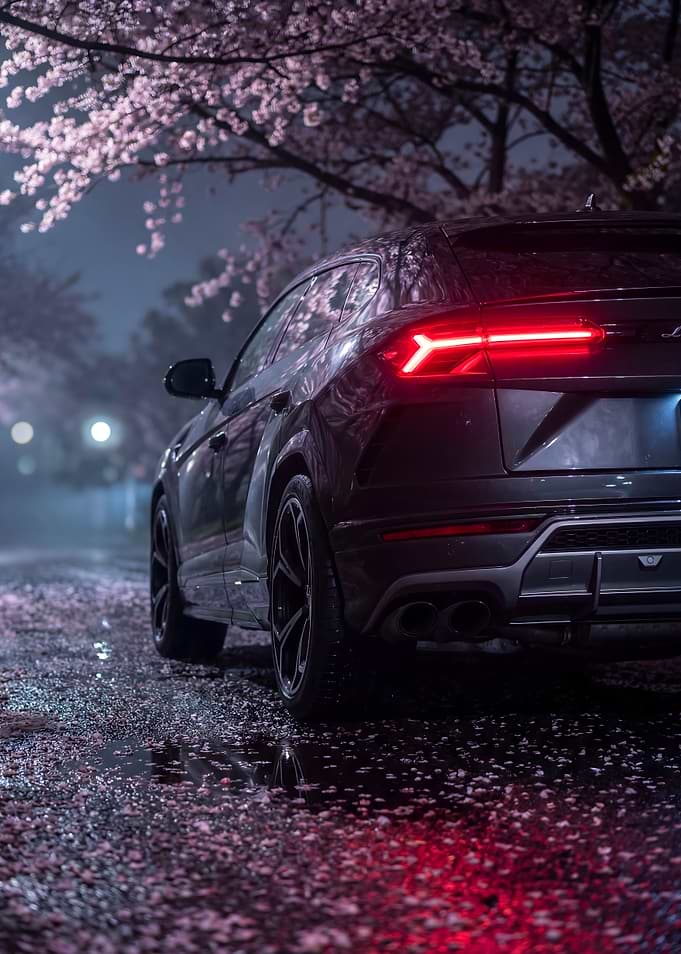 Lamborghini Urus Car Cherry Blossoms