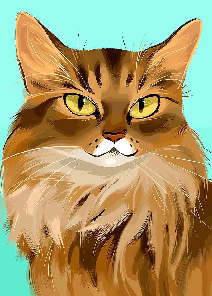 Brown Tabby Cat Portrait