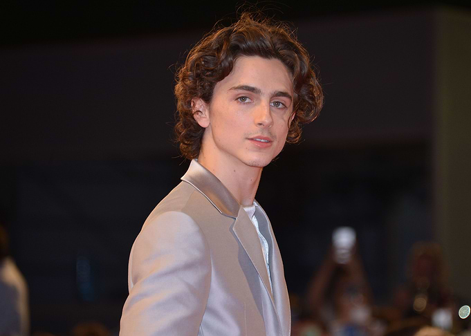 Timothée Chalamet on Red Carpet