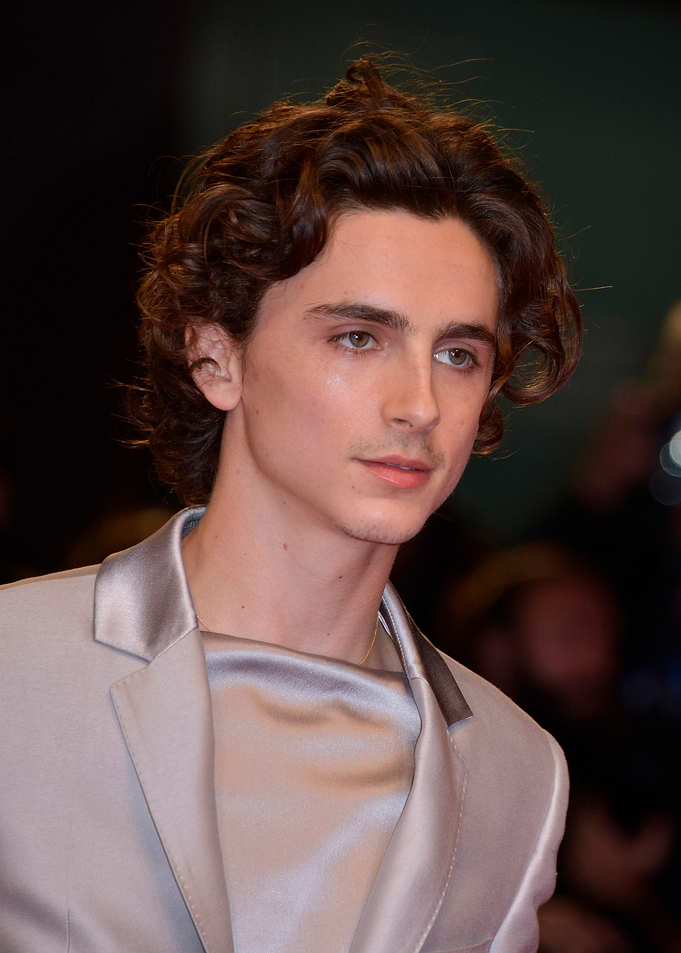 Timothée Chalamet on Red Carpet