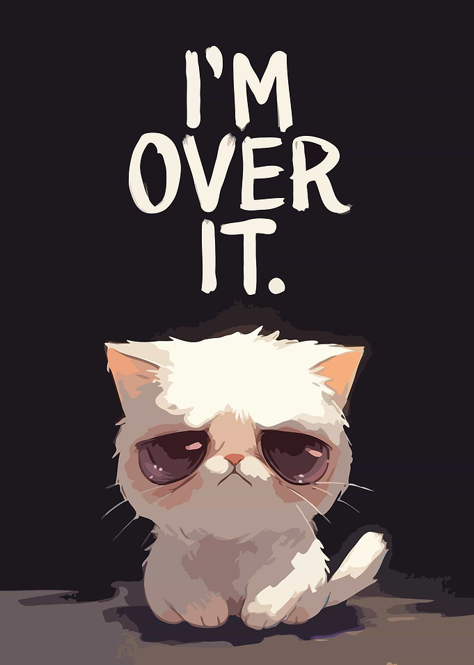 Grumpy Cat I'm Over It
