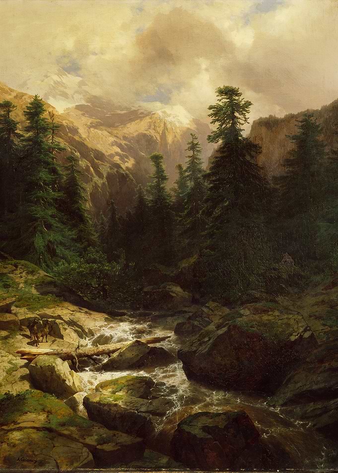 Mountain Stream with Pine Trees
