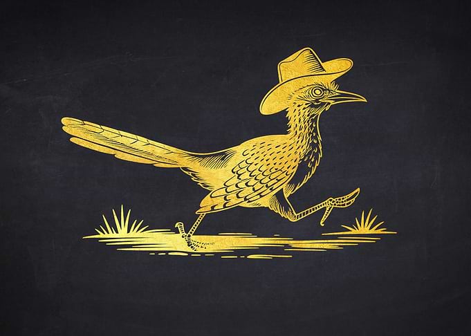Roadrunner in Cowboy Hat